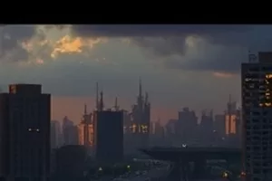 《候鸟不迟到》剧集封面，湿地上空成群的候鸟剪影
